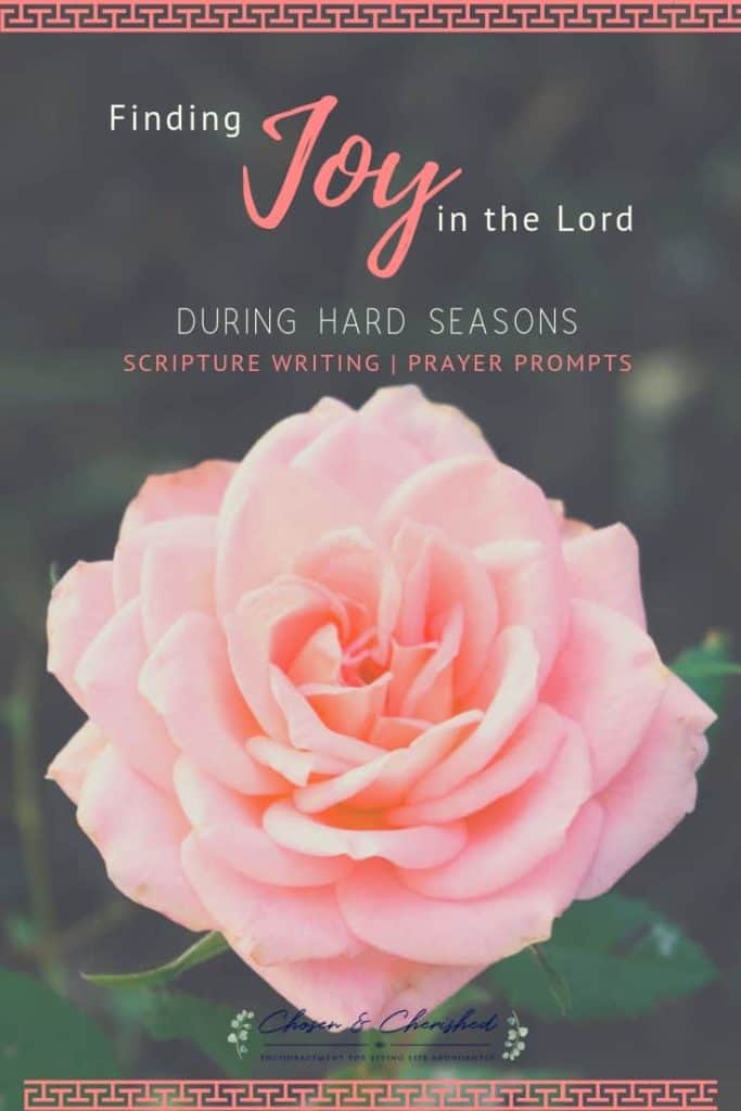 Can you have joy when life is hard? These bible verses and prayer prompts on joy will help you take hold of the Shepherd's hand and allow Him to lead you. how to have joy in the lord, joy during trying seasons, finding strength in Christ, living a joy-filled life, joy of the lord is my strength, how to find joy in the journey, scripture for joy, bible verses for joy, joy prayer prompts