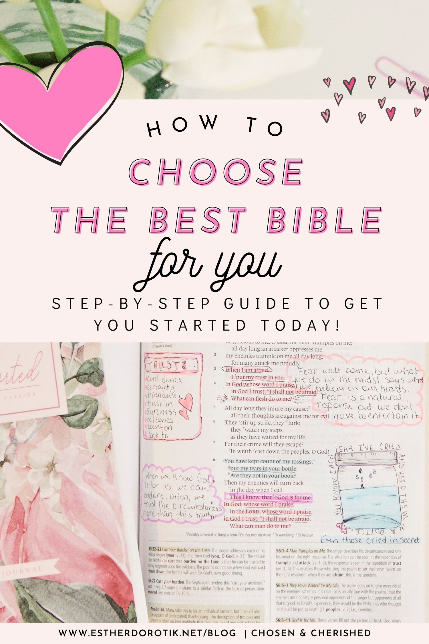 EVERYTHING-YOU-NEED-TO-KNOW-TO-CHOOSE-THE-BEST-BIBLE
