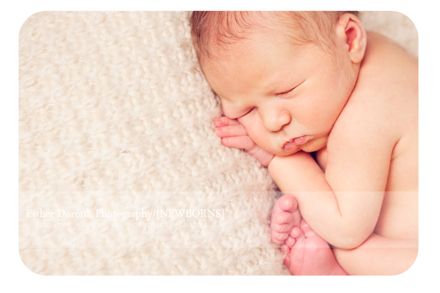 best-newborn-baby-posing-with-taco-pose