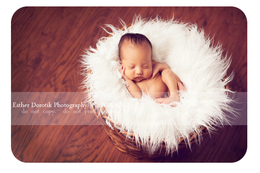 Fort-Worth's-best-newborn-photographer-captures-baby-boy-in-basket