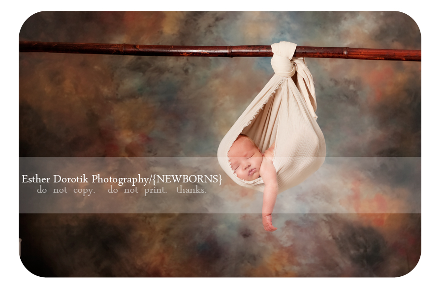 Frisco-newborn-photographer-captures-baby-boy-hanging-from-tree-branch
