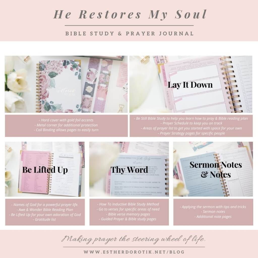 Have you ever struggled through prayer? With prayer strategies, go to verses and much more, this prayer and scripture journal will help you establish an effective prayer life and draw you closer to God.