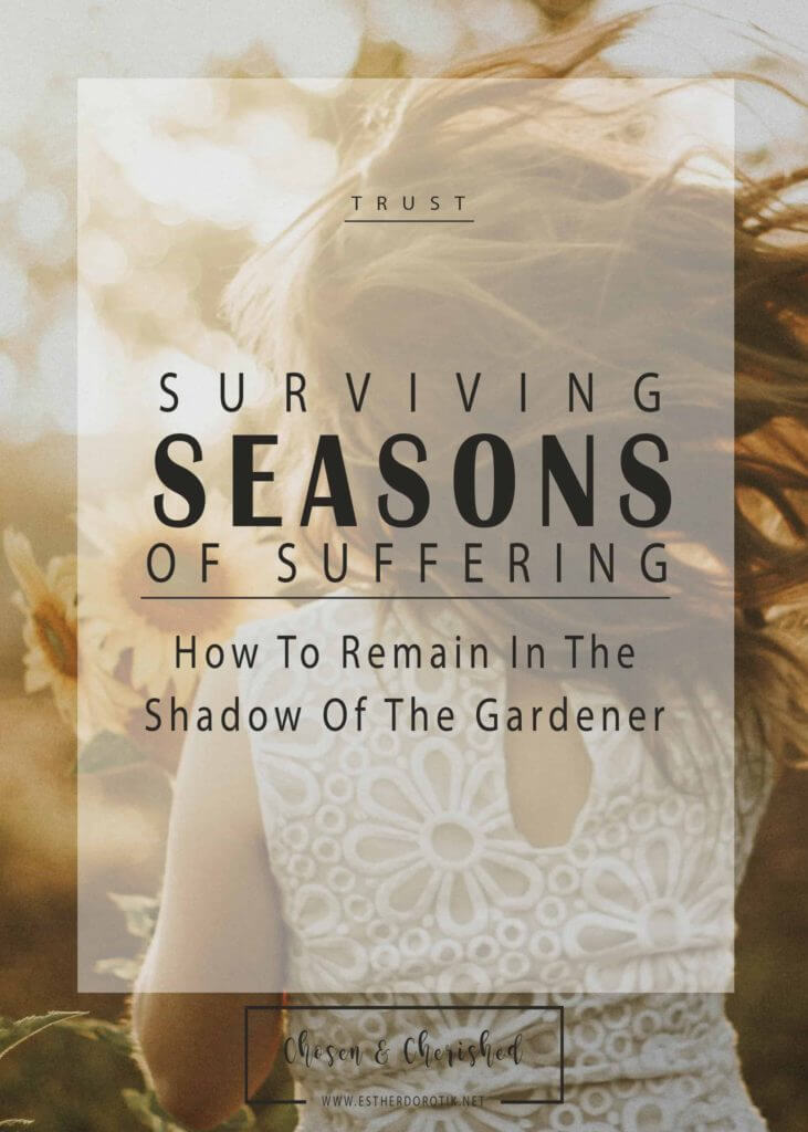in the shadow of the Good Gardener, Jesus, John 15, pruning of God, storms of life, dry barren seasons, strength when going through hard seasons, remaining connected to the vine, bible study on painful seasons, dealing with loss, becoming deeply rooted